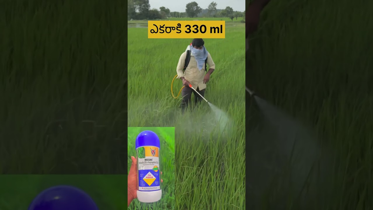 Sumitomo meshi stember attack 