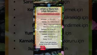 Allahın Şifalı Nimetleri Şifa Niyetine Tüketiyor Musun?