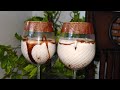 Oreo shake🧋🍪😋 #trendingreels #viral #oreobiscuits #fyp #ColdCoffee #easySummerDrinks #recepie #food