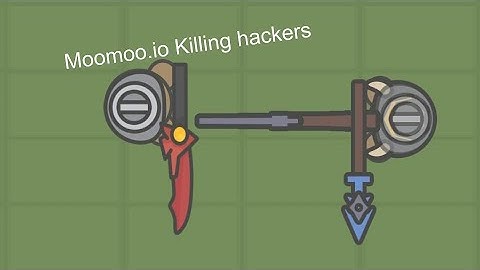 Moomoo.io Killing Hackers