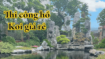 Hồ cá Koi: Thi công non bộ thác nước đẹp dùng drum cho hộ nghèo quê em