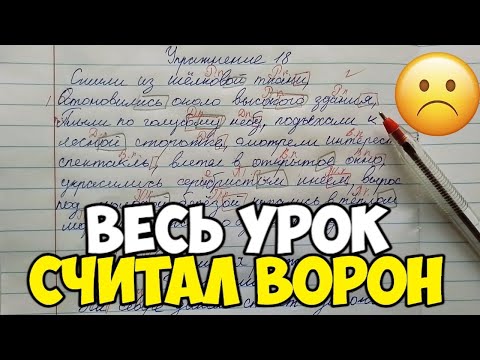 Проверяю рабочие тетради по русскому языку 4 класс