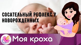 Сосательный рефлекс у новорожденных