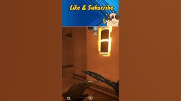 CS2 Mirage - Smoke Lurk Palace #cs2 #counterstrike #premier #faceit