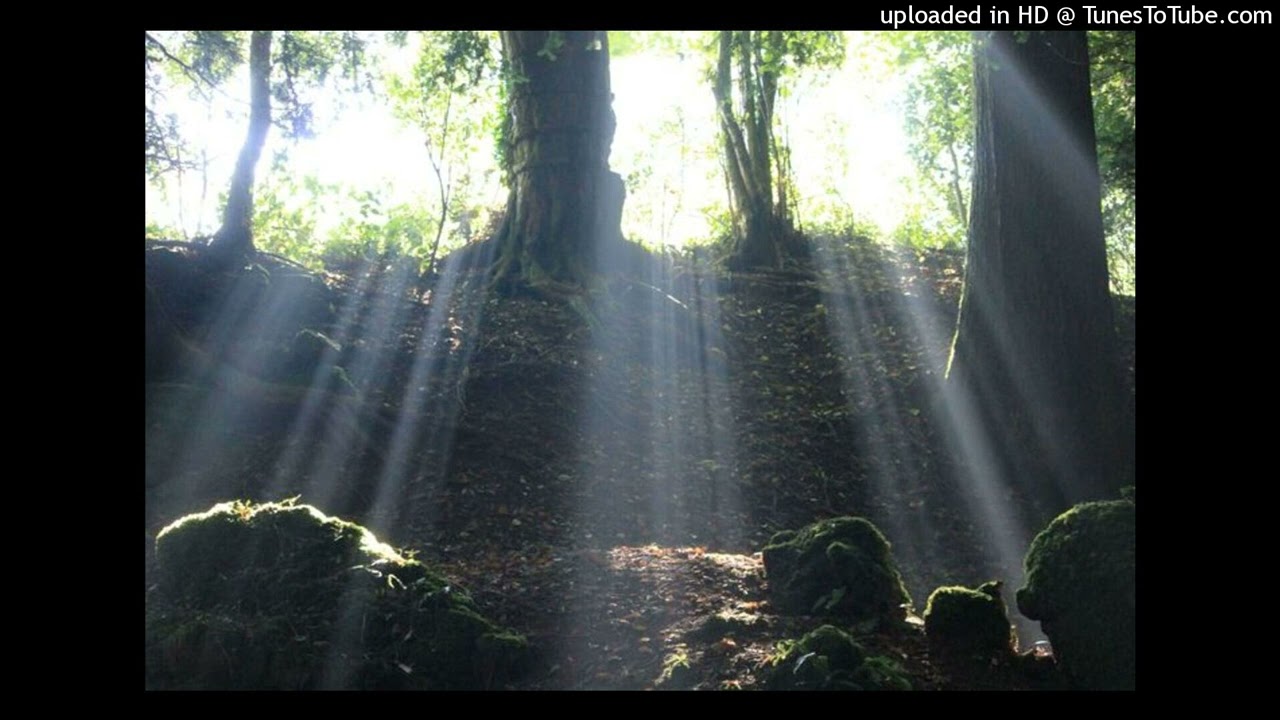 [emotional] old iayze x jace! type beat - 