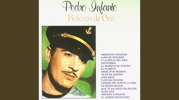 El plebeyo