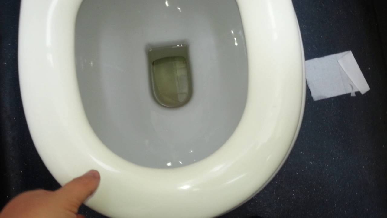 Toilet in the Aquarium YouTube