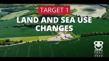 Transformative actions needed to implement the KMGBF Target 1!