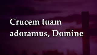 Crucem Tuam