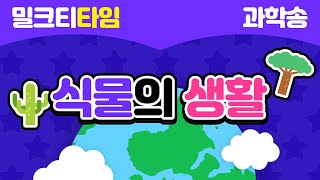 [신나고 재미있게 배우는 과학] 4학년 2학기 1절 식물의 생활 | 풀 | 나무 | 뿌리 | 줄기 | 잎 | 한해살이 식물 | 여러해살이 식물 | 부레옥잠  사막 | 선인장