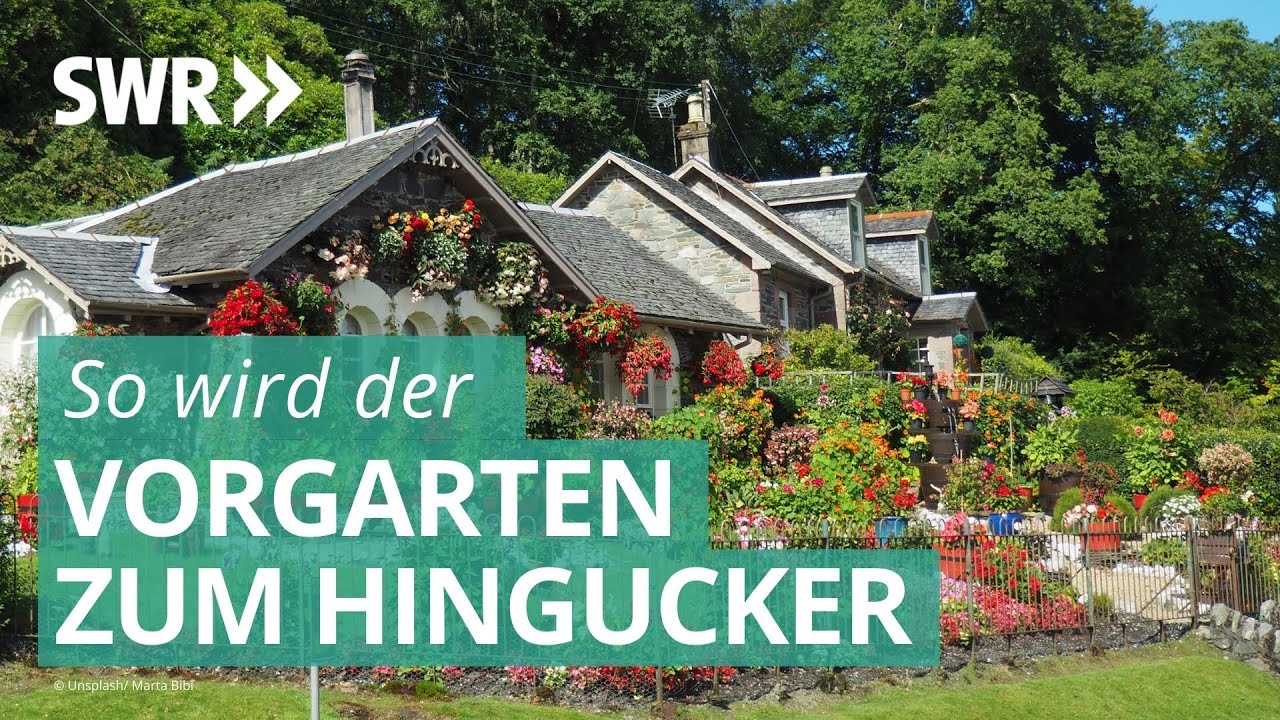 So wird der Vorgarten zur Oase | Marktcheck SWR