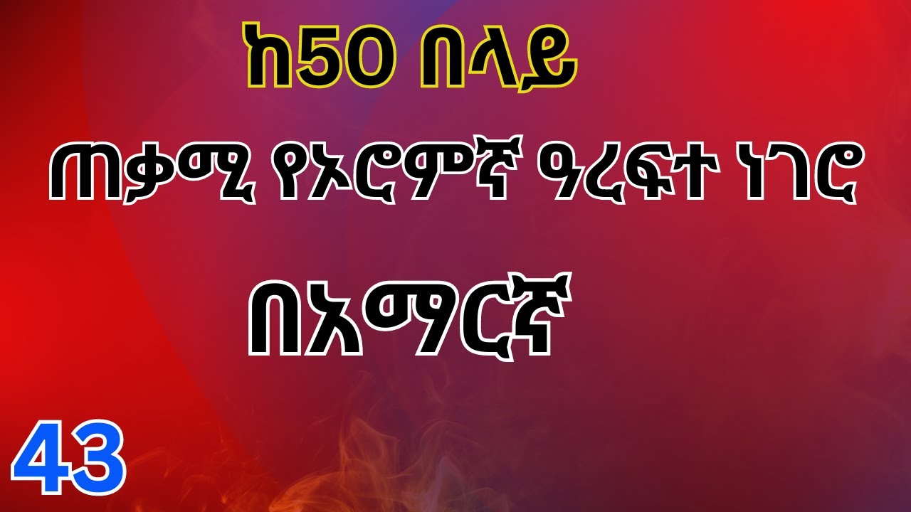 ጠቃሚ የኦሮምኛ ዓ.ነገሮች ከጀማሪ እስከ መካከለኛ/Afan Oromo in Amharic #afaan_oromoo #afanoromosong #learnenglish