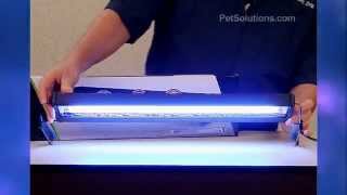 PetSolutions: Marquis Dual-Lamp T5HO Aquarium Light Fixtures with Timer
The Aquatic Life Marquis Dual-Lamp T5HO Aquarium Light Fixtures with Timer employ the latest technology for both novice and experienced hobbyists. The built-in Digital Timer is located on the side and allows you to easily control the lighting. The individual lamp reflectors are made in Germany and direct maximum light output deep down into your aquarium. All the electronic ballasts are internal and equipped with quick disconnects for easy service or replacement. The Marquis Dual-Lamp T5HO has an adjustable width frame mounts to securely hold the light fixture on virtually any type of aquarium, including frameless designs. All models feature a single 2-meter power cord, allowing for easy mounting.
The Marine lighting systems feature a combination of 700+nm/10,000K and 420/460nm Actinic lamps, which promotes exceptional growth and color in corals and invertebrates. The lamps also promote the eye-popping vivid colors of your fish. Aquatic Life Marine lamps use phosphors that replicate what corals, plants, and fish receive naturally in the wild.
For more information on this product, please visit the link below.
http://www.petsolutions.com/C/Aquarium-T-5-Fixture/I/Aquatic-Life-Marquis-Dual-Lamp-T5HO-Aquarium-Fixtures-with-Timer.aspx PetSolutions: Marquis Dual-Lamp T5HO Aquarium Light Fixtures with Timer