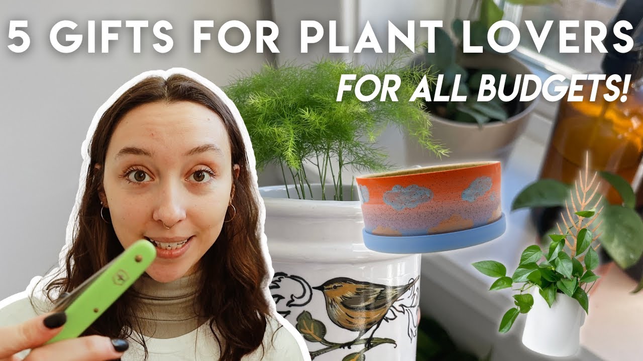 2022 gift guide for houseplant lovers gift ideas for every budget
