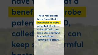 UD Inventors