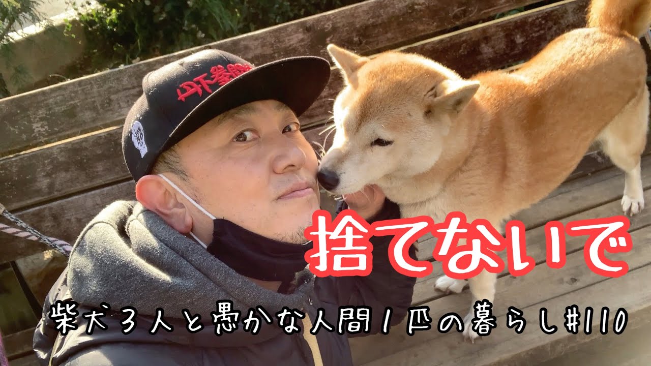 柴日記 유튜브 채널 분석 보고서 Noxinfluencer