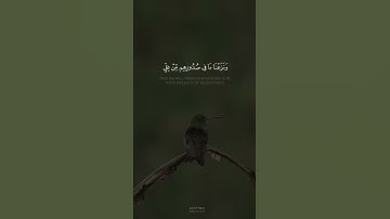 ﴿إِنَّ المُتَّقينَ في جَنّاتٍ وَعُيونٍ﴾ القارئ عبدالله الموسى
