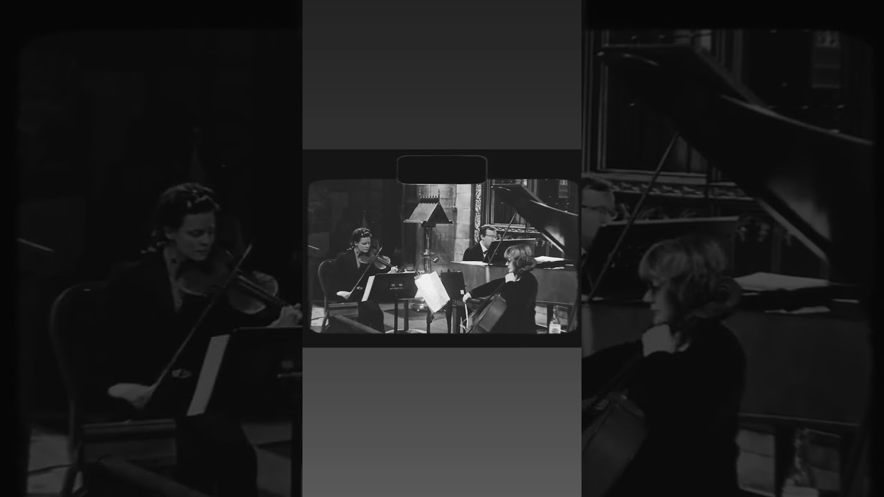 I've Got You Under My Chin🎻Valentine eve concert 