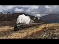 The Sneaky Hipshakers: Mystery Train