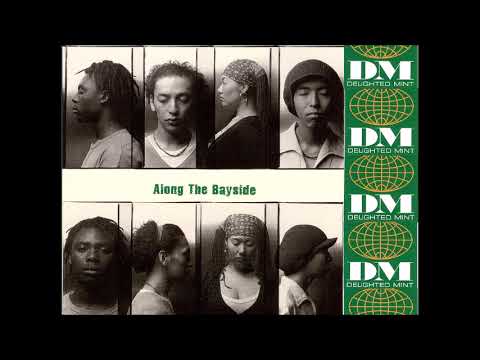 Along The Bayside (Radio Edit) / DELiGHTED MINT