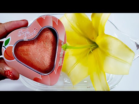 【暇つぶし】化粧と花をスライムに混ぜる!スライム ASMR【スライム動画】