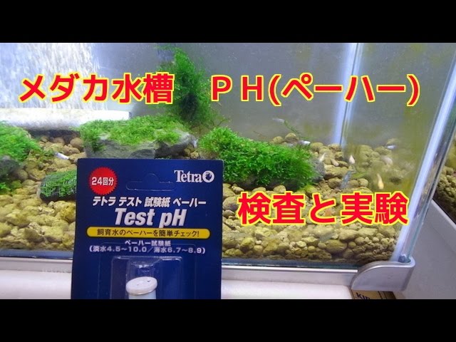 メダカ水槽 Ph ペーハー 水質検査アルカリ性 酸性テトラ テストペーハートロピカル試薬 ミナミヌマエビ金魚熱帯魚 テトラ テストｔetra Youtube