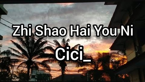 Cici_ - 至少还有你 Zhi Shao Hai You Ni (Setidaknya Masih memilikimu) Subtitlle  Indonesia Pinyin English