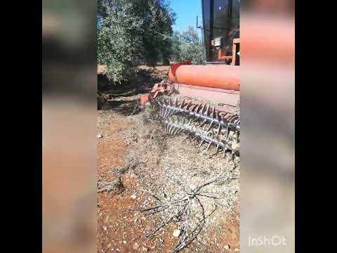triturando un tronco