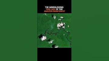 The Amazon Is Bigger Than You Think 🌳🌧️