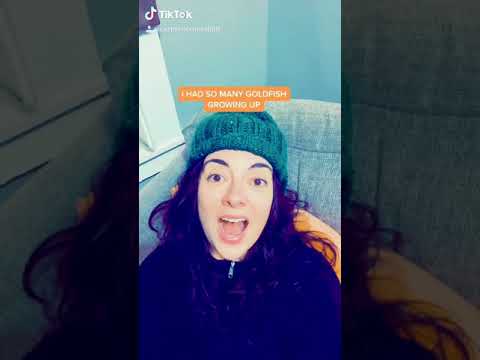 PETS OR MEN? - CARMEN LYNCH @carmencomedian