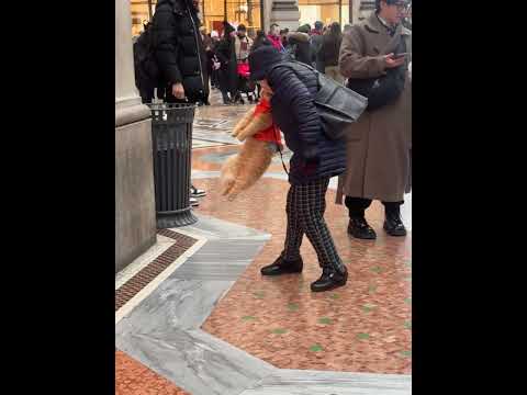 does she love him or hate him