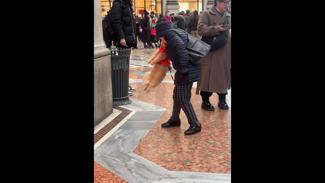 does she love him or hate him