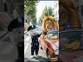 fine the lion #ytshorts #shots #comedy #animalverseusa