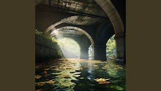 River's Ambient Focus Harmony