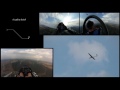 Glider Aerobatics in Multiview