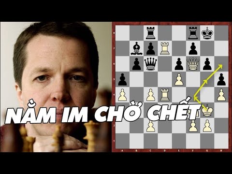 Video Ván cờ vua tuyệt diệu chiếu hết đẹp nhất mọi thời đại - youtube
