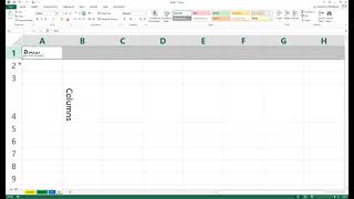 Excel 2016 Workbook & Worksheet