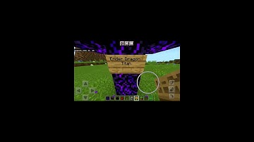 Ender Dragon Titan. No mods!