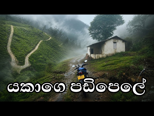 හෝර්ටන්තැන්නෙන් කලුපහනට යකාගෙ පඩිපෙල දිගේ ලස්සනම ගමනක #yakagepadipela #hortonplains #kalupahana