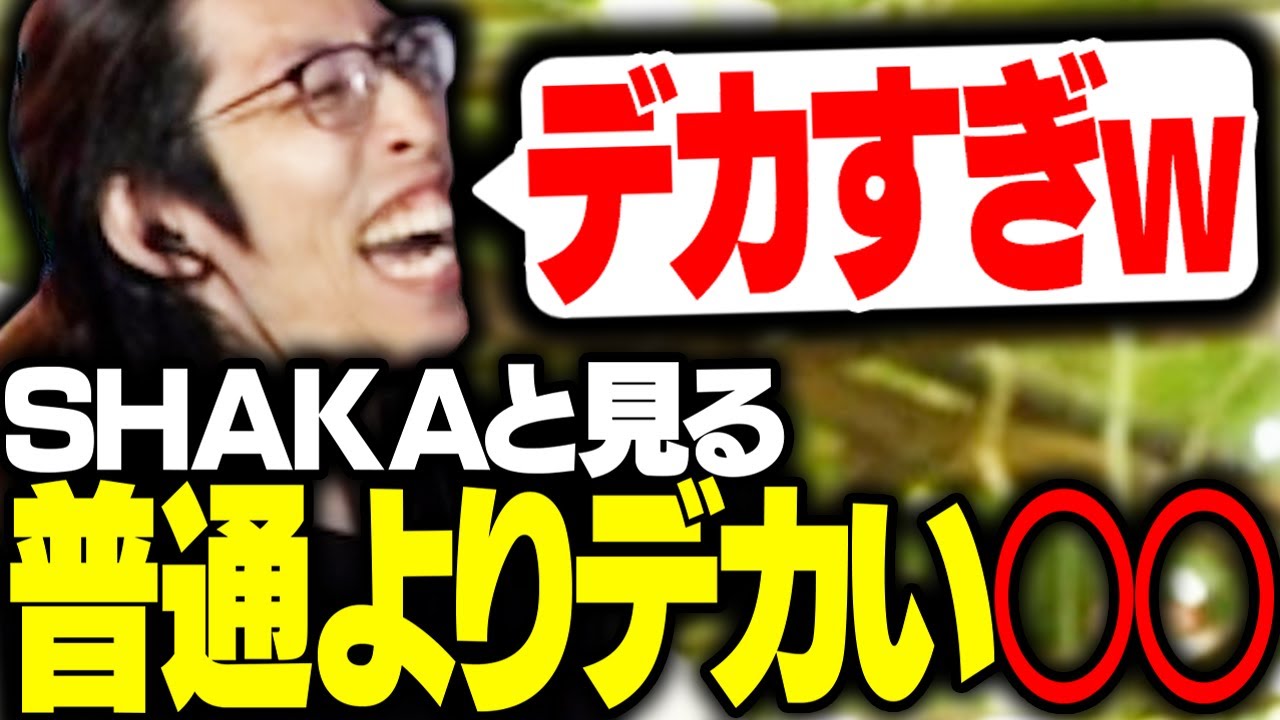 「普通よりデカい○○」を見て爆笑するSHAKA