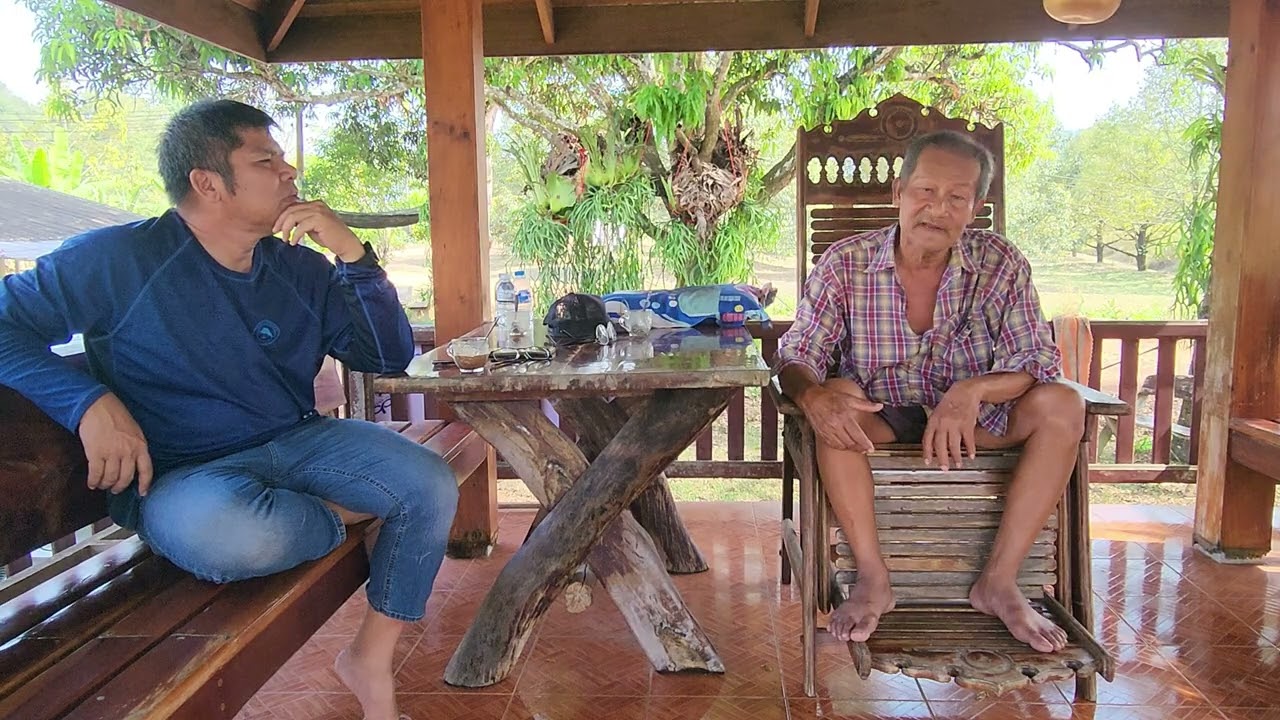 NR- EP136 คุยกับลุงนิรันดร์  หลังจากลูกอายุ 60 วัน  สภาพต้นไม่ค่อยแตกใบอ่อน ปั้นทรงยังไม่ขึ้น