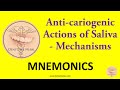 Mnemonics  anticariogenic actions of saliva  mechanisms