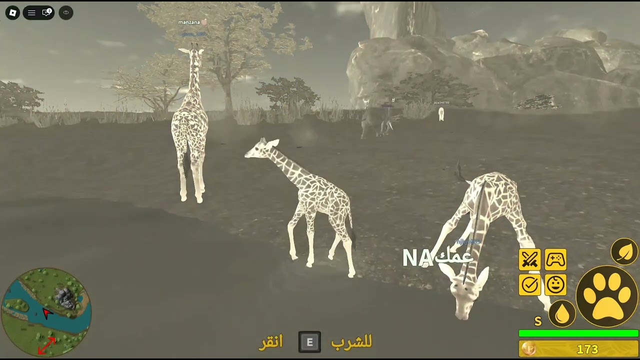 حيات السافانا بل زرافه 