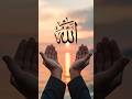 Allah Hu Akbar 👑 #love #shortvideo #trending #new