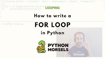 Writing a for loop in Python