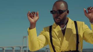 Mr  Bow  Familia        Video