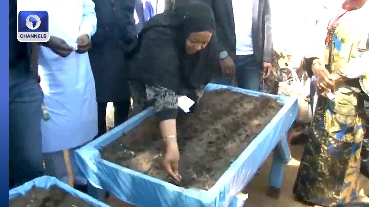 UN Agency Launches Dry Season Farming In Nigeria, Targets 49,000 Farmers