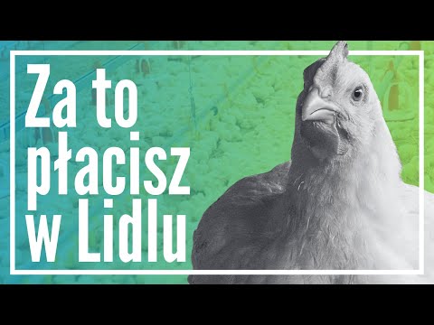 Horror w Lidlu: Zobacz co kupujesz! #LidlChickenScandal