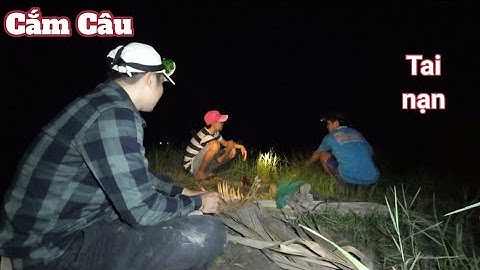 1 Đêm Cắm Câu Cá Ngoài Đồng Ruộng Mùa Nước Lũ Rút | Tai Nạn Không Mong Muốn Khi Cắm Câu Đêm