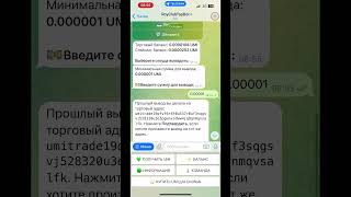 Ежедневный вывод прибыли из RoyClubTapBot, нюансы, смотри до конца #рекомендую #криптовалюта